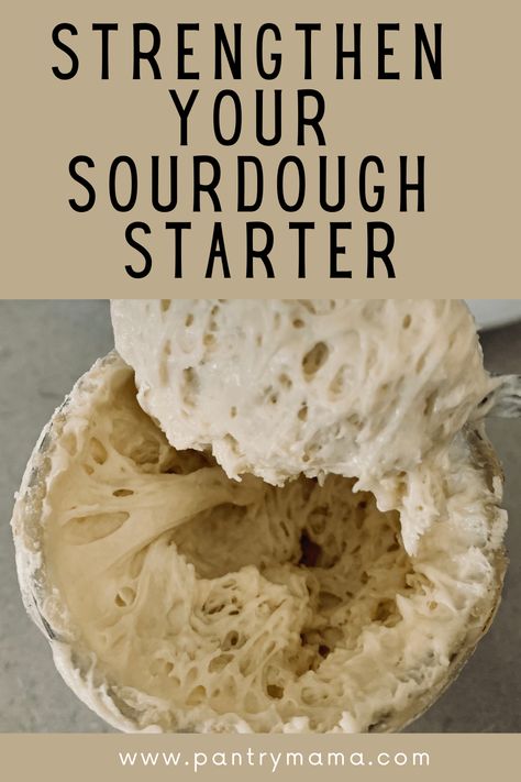 Best Sourdough Starter Recipe, Dough Starter Recipe, Recipe Using Sourdough Starter, Sourdough Bread Starter, Sourdough Starter Discard Recipe, Homemade Sourdough Bread, Bread Starter, Artisan Bread Recipes, Sourdough Starter Recipe