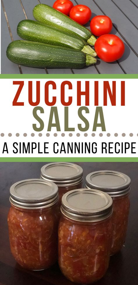 2 Cups Shredded Zucchini, Zucchini And Tomato Salsa, Zucchini And Canned Tomato Recipes, Fresh Zucchini Salsa Recipes, Canning Shredded Zucchini, The Best Zucchini Salsa, Canning Recipes Zucchini, Can You Can Zucchini, Salsa With Zucchini