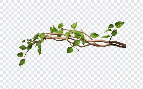 Twisted Wild Liana Jungle Vines PNG Vines Png, Fish Emoji, Jungle Vines, Cartoon Love Photo, Red Hair Woman, Corner Decor, Cartoons Love, Graphic Design Projects, Free Vectors