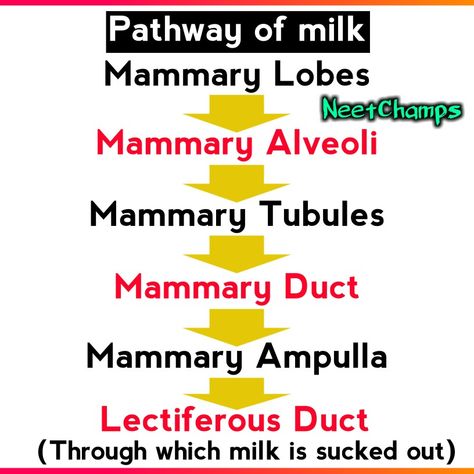 Mnemonics For Biology Neet, Biology Neet Tricks, Neet Tips And Tricks, Neet Exam Notes Biology Tricks, Biology Tricks, Biology Flashcards, Neet 2025, Blood Compatibility, Nursing School Studying Cheat Sheets