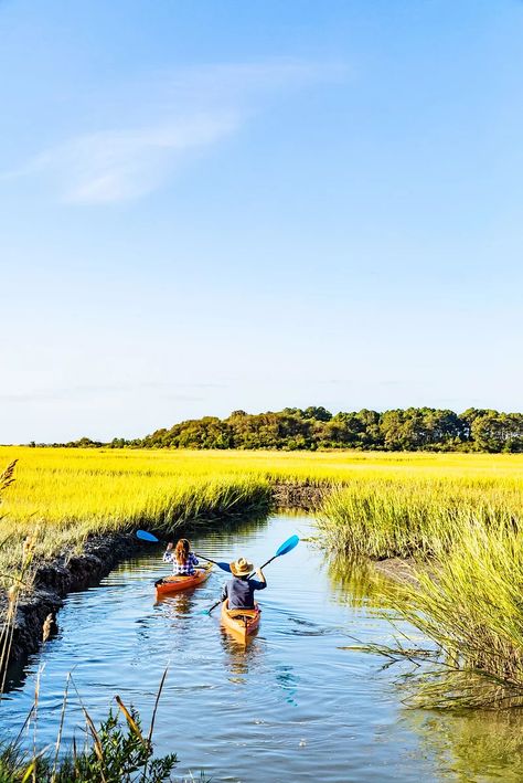 Kayaking in the Eastern Shore of Virginia National Wildlife Refuge with SouthEast Expeditions Cape Charles Virginia, Cape Charles Va, Eastern Shore Of Virginia, Sherando Lake Virginia, Kiptopeke State Park Virginia, Living In Virginia Beach, Neptune Statue, Virginia Beach Boardwalk, Southern Road Trips