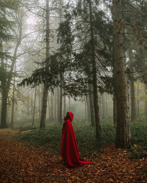 Portfolio - Jovana Rikalo - Professional photographer - Fine Art and Portrait Red Riding Hood Photography, Red Riding Hood Art, Red Cloak, Halloween Photography, Christmas Shoot, Red Cape, Fantasy Forest, Forest Photography, Fine Art Portraits