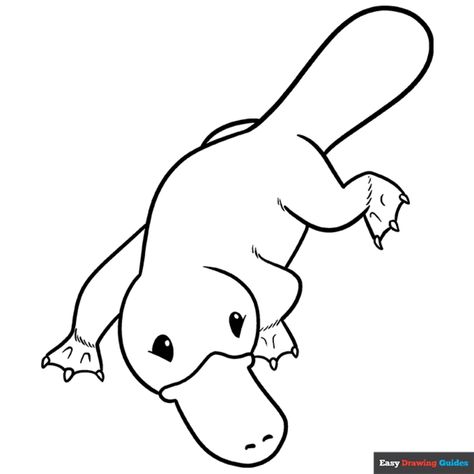 Free Platypus Coloring Page for Kids Platypus Illustration, Platypus Drawing, Wildlife Week, Easy Drawing Guides, Drawing Guides, Coloring Sheets For Kids, Kids Print, Printable Coloring Sheets, Drawing Tutorial Easy