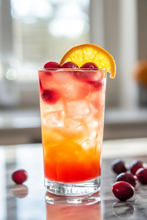 Tall glass of iced fruit punch garnished with cranberries and an orange slice. Cranberry Juice Cocktails, Orange Gin Fizz, Gin Fizz Recipe, Gin Fizz Cocktail, Juice Cocktails, Fizz Cocktail, Party Punch Recipes, Cranberry Juice Cocktail, Homemade Smoothies