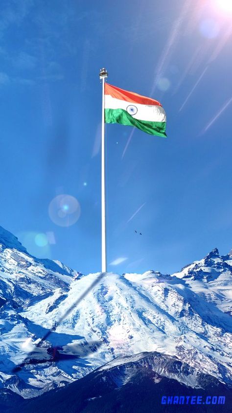 patriotic phone background by ghantee.com India Flag Hd Wallpaper, Indian Flag Hd Wallpaper, Flag Hd Wallpaper, Tiranga Wallpaper, Indian Flags, Hindu God Images, Indian Flag Pic, Indian Flag Photos, Indian Army Wallpapers