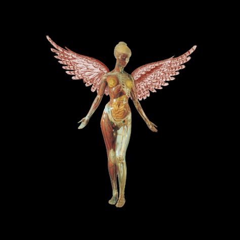 . In Utero Angel, In Utero, Wallpapers Widgets, Kinds Of Art, Paid Off, Nirvana, Wall Collage, Picture Ideas, Album Covers