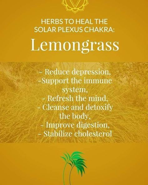 Lemongrass: Healig the Solar Plexus Chakra. Chakra Herbs, Solar Plexus Chakra Healing, The Solar Plexus Chakra, Oil Benefits, Solar Plexus Chakra, Improve Digestion, Solar Plexus, Chakra Healing, Lemon Grass