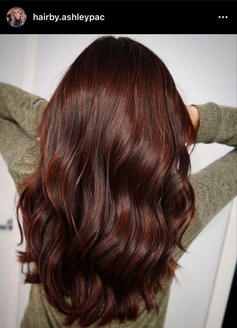 Brunette Reddish Hair, Auburn Babylights Dark Hair, Chocolate Brown Hair With Red Lowlights, Brownish Redish Hair Color, Reddish Chestnut Brown Hair, Chestnut Auburn Brown Hair, Reddish Brown Hair Color Ideas, Mocha Red Brown Hair, All Over Red Brown Hair Color