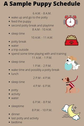 Dog Food Schedule, New Puppy Area Ideas, Potty Training Puppy Schedule, Dog Routine Schedules, Puppy Routine Schedule, Puppy Training Schedule By Age, New Puppy Schedule, Puppy Shot Schedule, New Puppy Tips