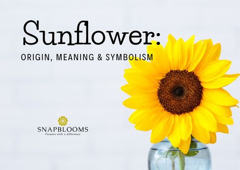 Sunflower Meaning Spiritual, Sunflowers Meaning, Sunflower Symbolism, Sunflower Meaning, Types Of Sunflowers, Rose Meaning, Wild Sunflower, Orange Sunflowers, Pink Sunflowers