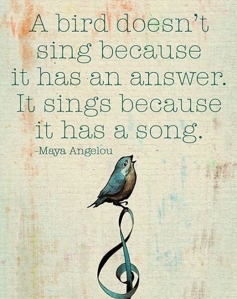 Dishfunctional Designs: A bird doesn't sing because it has an answer. It sings because it has a song. Papa Roach, Bird Quotes, Bird Sitting, Maya Angelou Quotes, Maya Angelou, Inspiration Quotes, Quotable Quotes, A Quote, A Song