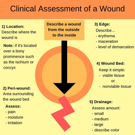 Wound Care Pearls with Dr Foy White-Chu - The Curbsiders Wound Care Documentation Template, Wound Healing Stages, Wound Care Nursing Notes, Skin Integrity And Wound Care Nursing, Home Care Nurse, Wound Assessment Nursing, Wound Care Nursing Documentation, Nursing Wound Care, Wound Healing Nursing