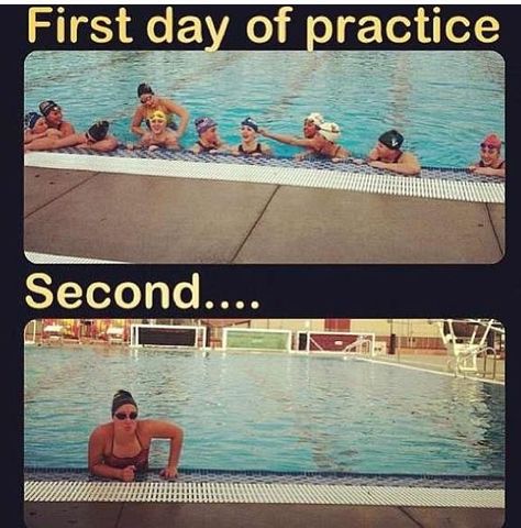 Swim Team Quotes, Swimmer Memes, Swimmer Quotes, Swimming Jokes, Swimming Funny, Swimming Motivation, Swimming Memes, Water Polo Players, Swimmer Problems