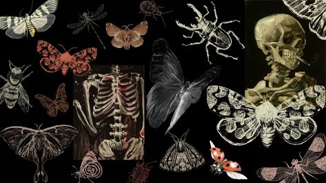 Desktop Wallpaper Skeleton, Skeleton Wallpaper For Laptop, Wallpaper For Laptop Dark Aesthetic, Desktop Wallpaper Whimsigoth, Macbook Wallpaper Witchy, Butterflies Wallpaper Laptop, Cute Aesthetic Pc Wallpaper, 1920 X 1200 Wallpaper Aesthetic, Gothic Aesthetic Wallpaper Desktop