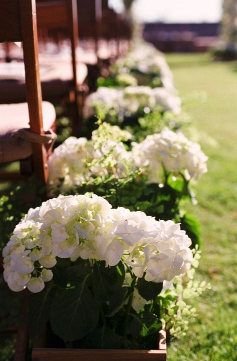 cute and cheap. potted plants set in wooden boxes to line the ... Outdoor Aisle, Potted Plants Patio, Hydrangea Potted, Flower Holders, Tattoo Plant, Wedding Isles, Plant Pot Diy, Green Ideas, Potted Plants Outdoor