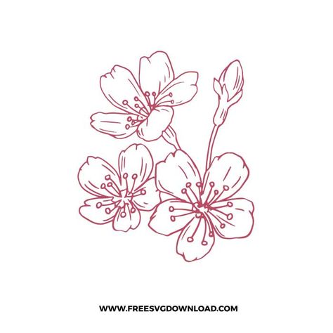 Cherry Blossom Tattoo Drawing, Cherry Blossom Silhouette, Cherry Blossom Stencil, Cherry Blossom Tree Silhouette, Cherry Blossom Logo, Cherry Blossom Svg Free, Cherry Blossom Svg, Cherry Blossom Outline, Cherry Blossom Clipart