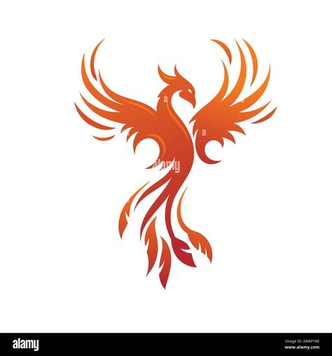 Download this stock vector: Phoenix logo of mythological bird vector illustration - 2WAP1R8 from Alamy's library of millions of high resolution stock photos, illustrations and vectors. Chinese Phoenix Illustration, Phoenix Graffiti, Phoenix Illustration, Logo Phoenix, Phoenix Vector, Wolf Art Fantasy, Phoenix Fire, Phoenix Logo, Bird Vector