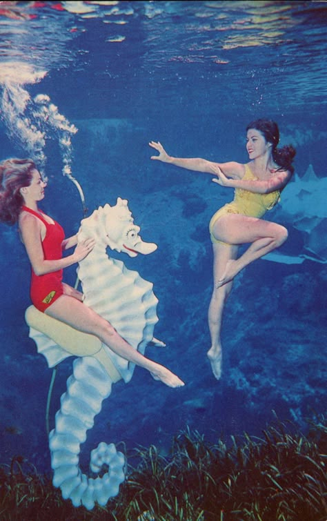 https://flic.kr/p/zAaNCH | Beauties Of The Deep, Weeki Wachee, Florida Weeki Wachee Mermaids, Weeki Wachee Florida, Weeki Wachee, Mermaid Aesthetic, Vintage Mermaid, Old Florida, Sea Horse, Vintage Florida, Under Water