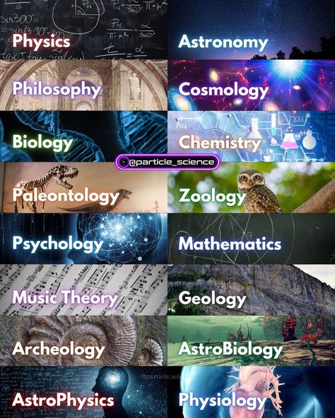 Academic Books, Theory Of Everything, Astronomy Facts, Astronomy Science, Interesting Science Facts, Nebulas, Cool Science Facts, Amazing Science Facts, Physics And Mathematics