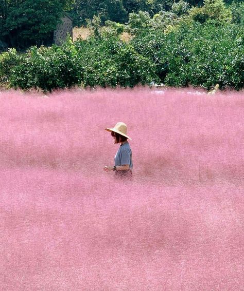 Jeju Photoshoot, Jeju Island Aesthetic, Female Photo, Jeju Island, Instagram Travel, Prayer Board, Photo Inspo, Photo Ideas, Travel Photography