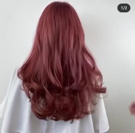 Pink Brown Hair, Hair Color Mahogany, Red Hair Inspo, Brown Hair Dye, Long Hair Color, Pretty Hair Color, Hair Idea, Haircut And Color, Dye My Hair