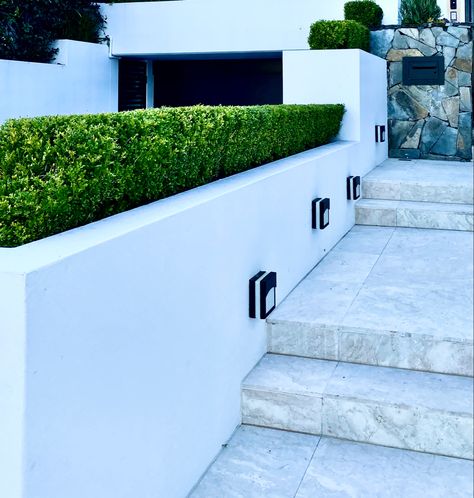 Buxus Hedge, Concrete Fence Wall, High Rise Residential, Concrete Yard, Scope Of Work, Stone Paving, Front Facade, Pool Areas, Garden Walls