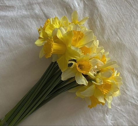 Daffodil Aesthetic, Outdoor Home Wedding, Flowers Narcissus, Daffodils Flowers, Daffodil Bouquet, Love Rose Flower, Home Wedding Decor, Daffodil Flower, Nothing But Flowers