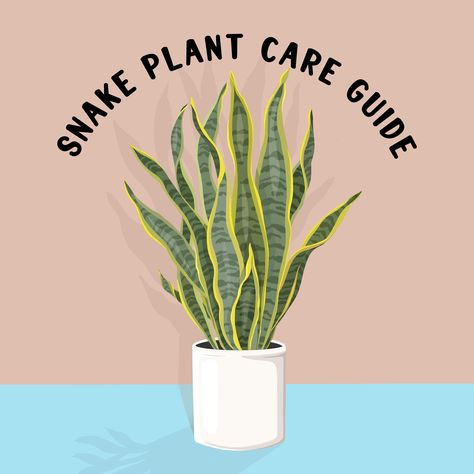 Infographic Care Guide for your Snake Plant (Dracaena Trifasciata) Instructions & info on taking care of your Snake Plant.Dracaena trifasciata is a species of flowering plant in the family Asparagaceae, native to tropical West Africa from Nigeria east to the Congo. It is most commonly known as the snake plant, Saint George's sword, mother-in-law's tongue, and viper's bowstring hemp Mother In Law Tongue Plant Care, Mother In Law Tongue Plant, Snake Plant Art, Snake Plant Spiritual Meaning, Dracaena Trifasciata, Rooting Snake Plant In Water, Mother In Law Plant, Snake Plant Laurentii, Masoniana Snake Plant