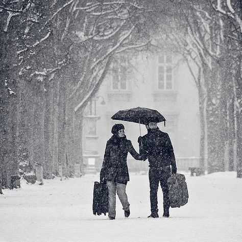 Paris under the snow by Gregory Bastien, Under An Umbrella, Paris Winter, Snow Photography, Digital Photography School, Under My Umbrella, Tree Images, Winter Love, Baby It's Cold Outside, Paris Photo