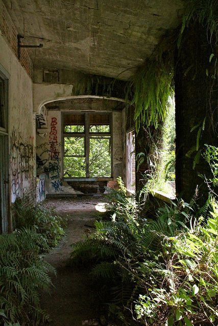 Nature Taking Over Abandoned, Buildings Overtaken By Nature, Nature Taking Back Buildings, Nature Taking Over Aesthetic, Abandoned School Buildings, Nature Takes Over, Nature Taking Over Buildings, Abandoned School Aesthetic, Distopian Architecture