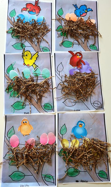 Nest Art Preschool, Nest Activity Preschool, Birds Activities For Kindergarten, Making Bird Nests Preschool, The Best Nest Preschool Activities, Spring Bird Craft, Nest Crafts For Preschoolers, Nest Activities Preschool, Birds Activity For Preschool