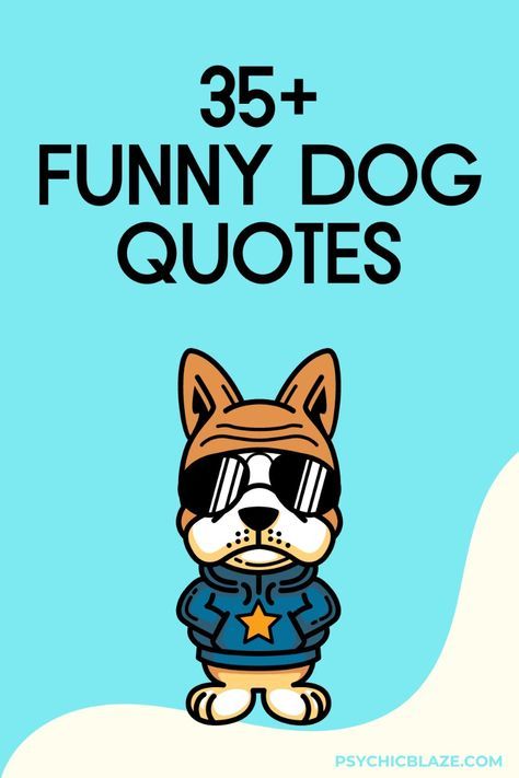 Pin these quotes if you need a daily dose of laughter from man’s best friend. Featuring amusing dog antics and witty pet wisdom, these quotes are perfect for any dog lover. Let these funny canine quips brighten your day and bring a smile to your face. Hot Dog Quotes, Puppy Love Quotes, Dog Birthday Quotes, Funny Dog Pics, Short Dog Quotes, Funny Dog Sayings, Funny Dog Quotes, Cute Dog Quotes, Funny Dog Jokes