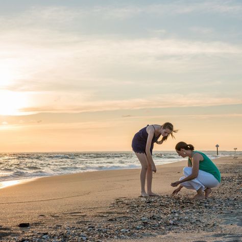 Seashell Hunting, North Carolina Coast, Carolina Coast, North Carolina Travel, Hunting Tips, The Outer Banks, Treasure Hunter, Vacation Planner, Beach Combing