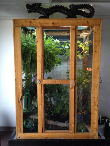 How does your current cage look like? (Please post pictures) - Chameleon Forums Chameleon Terrarium, Chameleon Enclosure, Lizard Cage, Iguana Cage, Chameleon Cage, Bearded Dragon Cage, Snake Enclosure, Reptile Room, Pet Enclosure