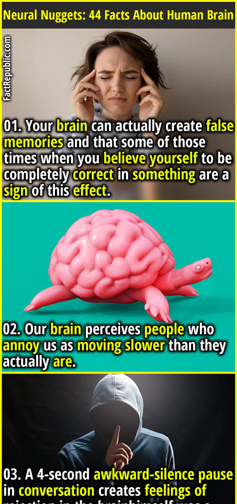 01. Your brain can actually create false memories and that some of those times when you believe yourself to be completely correct in something are a sign of this effect. Weird Medical Facts, Dream Facts Psychology, Brain Facts Psychology, Human Brain Facts, False Memories, Episodic Memory, Believe Yourself, Facts About Humans, Fact Republic