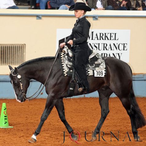 LOVE THIS! all black with patterned pad! Would be even better if the saddle  bridle were all black | cheval noir | black Quater Horse western pleasure Equitation Patterns, Aqha Western Pleasure, Western Horsemanship, Western Pleasure Horses, Horse Showing, Western Horses, Black Saddle, Spring Horse, Horse Exercises