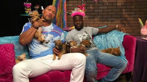 No Joke: Dwayne Johnson and Kevin Hart Have 1 of the Funniest Bromances in Hollywood Dwayne Johnson And Kevin Hart Funny, Dwayne Johnson And Kevin Hart, Kevin Core, Sophie Core, Kevin Hart Funny, Central Intelligence, Funny Poses, The Rock Dwayne Johnson, Rock Johnson