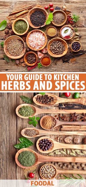 For sweet desserts or savory entrees, herbs and spices are crucial components to full-flavored dishes for the flavor nuances they provide – aroma, complexity, depth, warm spiciness, and cooling herbal notes.  Our complete guide provides all the info you need to successfully use these culinary essentials. #herbs #spices #foodal Kitchen Knowledge, Culinary Tips, Food Spices, Sauces Recipes, Herbs List, Dry Mixes, Spice Blends Recipes, Spice Garden, Cooking Herbs