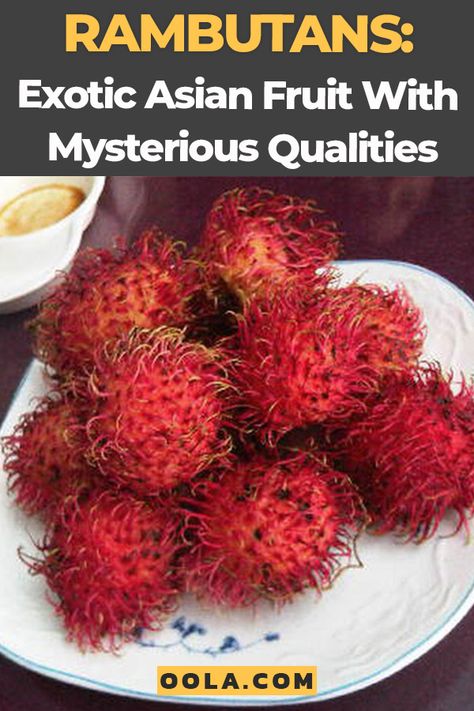 Asian Fruit Recipes, Rambutan Recipe, Asian Fruit, Benefits Of Rambutan, Rasboras Fish, Tangaluhu Fruit, Yummy Asian Food, Strange Fruit, Fruit Benefits