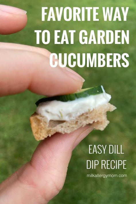 Fresh Cucumber & Dill Dip Finger Sandwich Bites Dairy & Egg Free Cracker Bread Recipe, Cucumber Dill Sandwiches, Cucumber Dill Dip, Mini Cucumber Sandwiches, Sandwich Bites, Garden Cucumbers, Dill Dip Recipes, Finger Sandwich, Homemade Ranch Dip