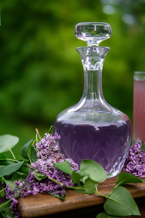 Drinking Tea Photography, Violet Syrup, Lilac Room, Magical Aesthetic, Witches Jar, Floral Drink, Tea Photography, Spa Room Decor, Syringa Vulgaris