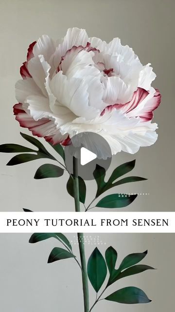 Giant Flower Wedding, Paper Peonies Tutorial, Giant Flowers Diy, Crepe Paper Flowers Diy, T Party, Fleurs Diy, Paper Peonies, Rose Tutorial, Crepe Paper Flowers