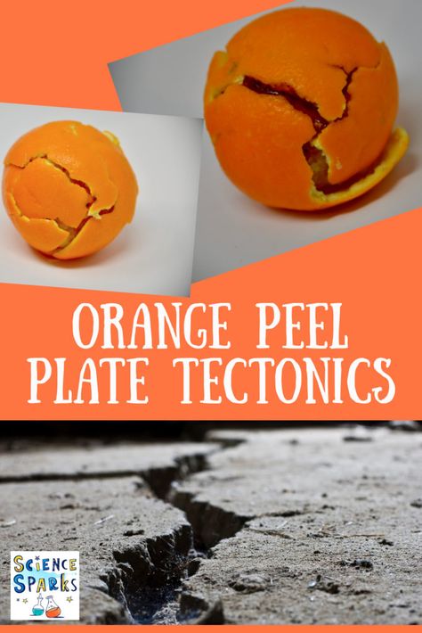 plate tectonics with an orange. Fun demonstration of plate tectonics using an orange Geology For Kids, Tectonic Plates Activities, Geology Activities, Earth Science Experiments, Earth Systems, Earth Science Activities, Earth Science Lessons, Science Experiments For Kids, Geography Activities