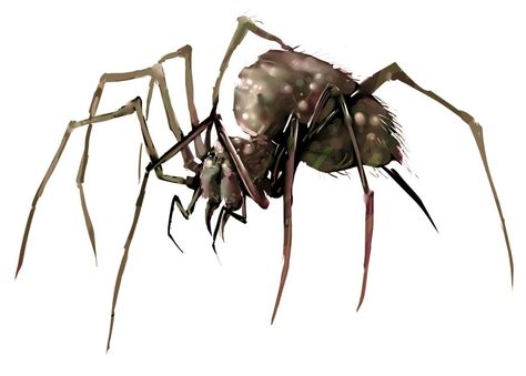 Forest Spider Spider Fantasy Art, Fantasy Spider, Spider Monster, D D Monsters, Spider Art, Dnd Monsters, Fantasy Beasts, Giant Monsters, Fantasy Creatures Art