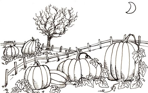 Pumpkin Patch Pumpkin Farm Drawing, How To Draw A Pumpkin Patch, Pumpkin Field Drawing, Pumpkin Patch Sketch, Pumpkin Patch Painting Easy, Pumpkin Patch Drawing Easy, Pumpkin Patch Doodle, Corn Maze Drawing, Pumpkin Drawings Easy