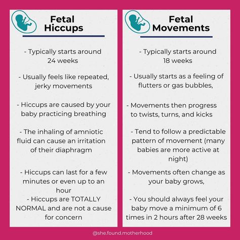 Dr’s Sarah & Alicia | she/her on Instagram: “Can you tell the difference between hiccups and fetal movements? Are you TTC or still in early pregnancy and haven’t felt fetal movements…” Fetal Movement, Birth Plan Template, Prepare For Labor, Early Pregnancy, Second Trimester, Birth Plan, Third Trimester, First Trimester, Healthy Pregnancy