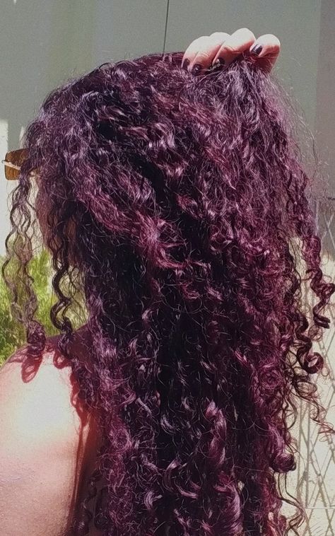 Violet Curly Hair, Sangria Hair Color, Plum Curly Hair, Dark Purple Curly Hair, Cherry Purple Hair, Burgundy Curly Hair, Purple Curly Hair, Plum Purple Hair, Curly Purple Hair