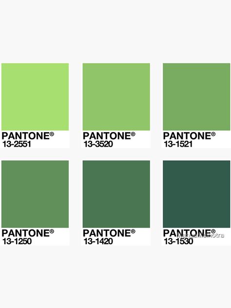 "Shades of Green - Pantone Swatches" Sticker by ManyaMalhotra | Redbubble Green Swatches Colour Palettes, Types Of Greens Colours, Pantone Shades Of Green, Pantone Green Shades Colour Palettes, Types Of Green Color Shades, Aesthetic Color Palettes Green, Green Pantone Palette, Green Shades Colour Palettes, Green Colors Shades