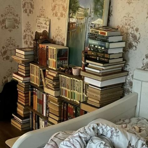 Literature Room Decor, Classic Reading Aesthetic, Dorm Room Aesthetic Dark Academia, Reading Classics Aesthetic, Books Room Aesthetic, Academia Room Aesthetic, Academia Bedroom Aesthetic, Book Room Aesthetic, Dark Academia Room Aesthetic