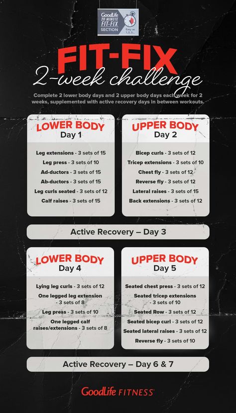 2 Weeks Challenge, 2 Week Workout, 2 Week Challenge, Goodlife Fitness, Back Extensions, Chest Fly, Tricep Extension, Week Challenge, Lateral Raises